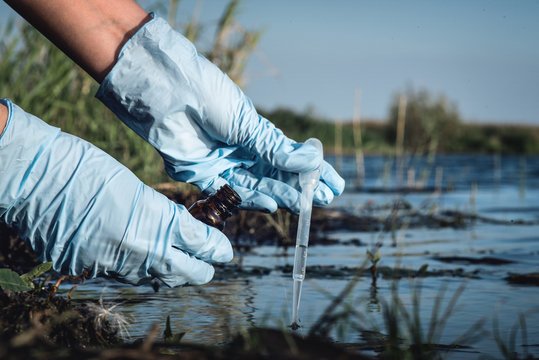 Baseline Water Quality Survey